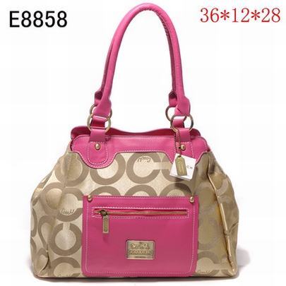 Coach handbags341